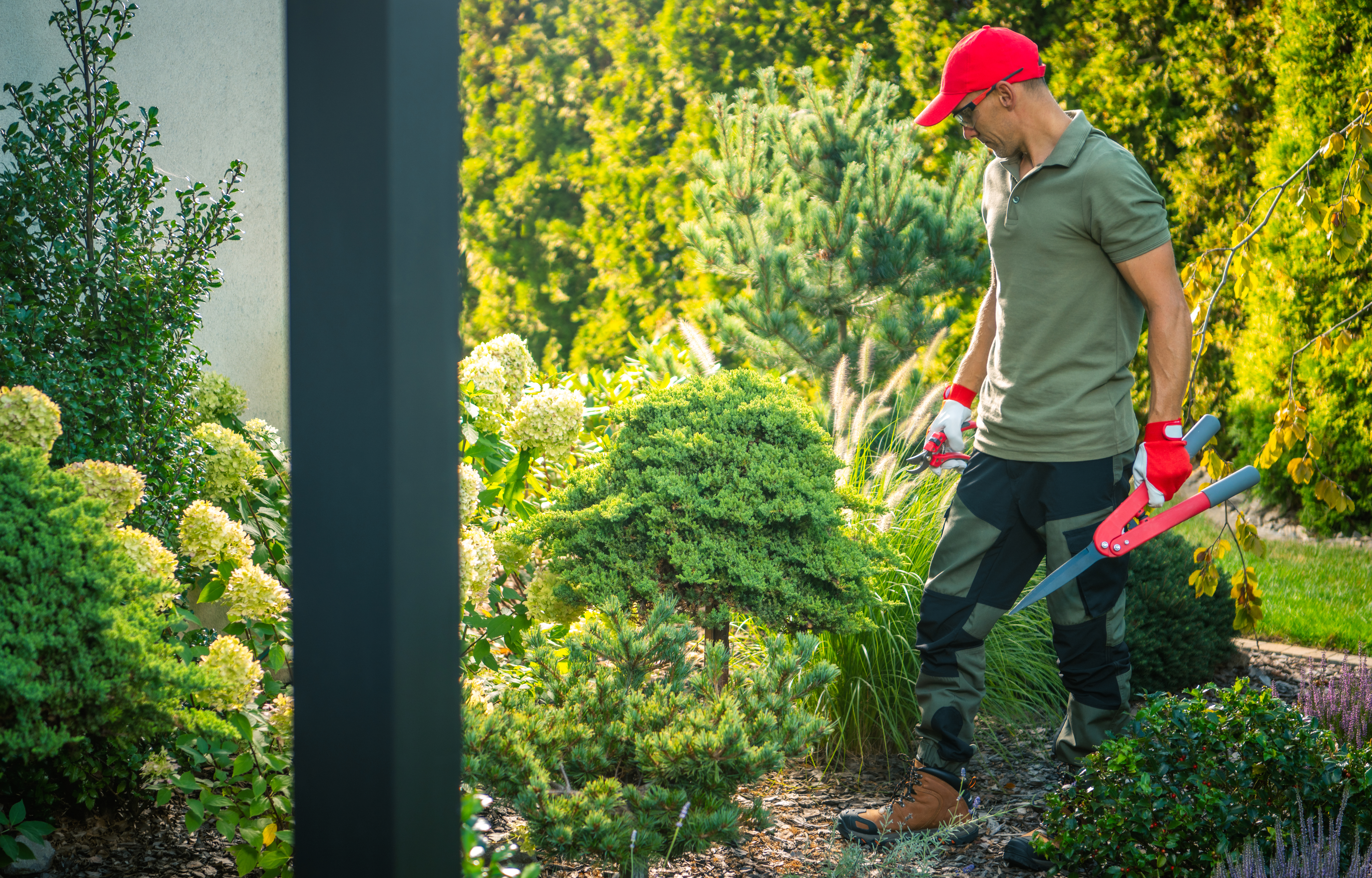 A gardener, wearing gloves and a cap, focuses on trimming bushes in a vibrant garden filled with various plants under bright sunlight.